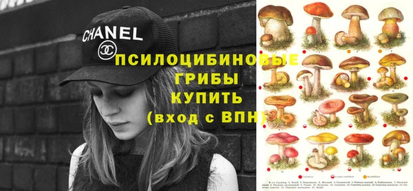 амф Абаза