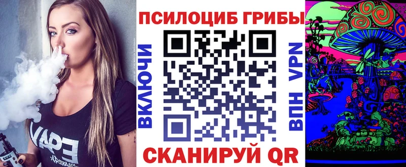 Галлюциногенные грибы MAGIC MUSHROOMS  купить закладку  Фрязино 