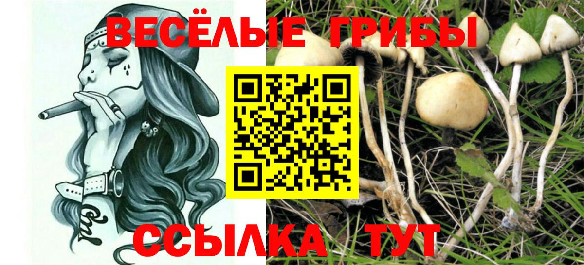 Галлюциногенные грибы MAGIC MUSHROOMS Фрязино